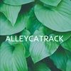 alleycatrack